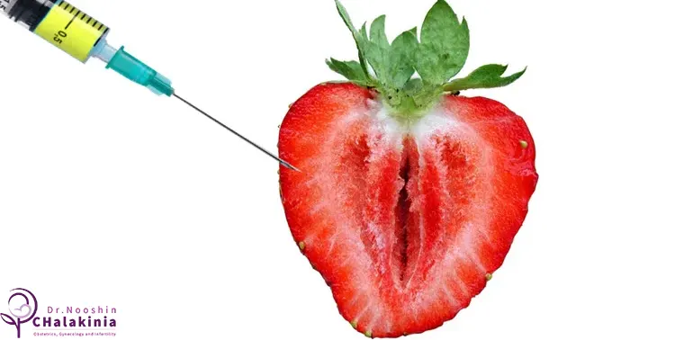 تزریق چربی به ناحیه تناسلی