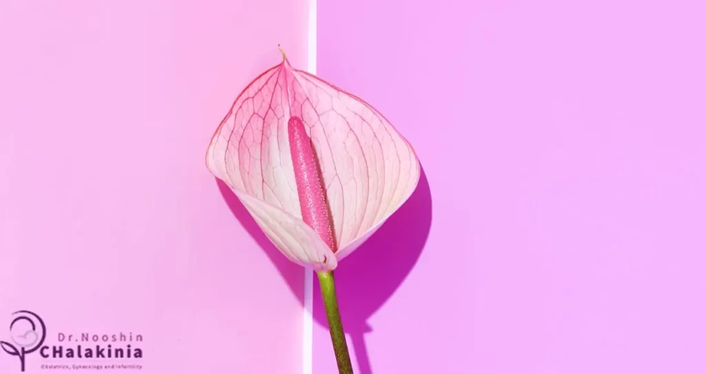 بهترین سن لابیاپلاستی